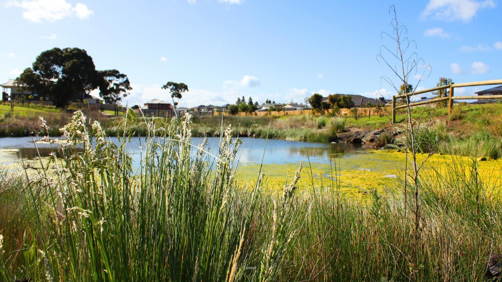 CP-EXPLORE-Sustainable-Living-Image1